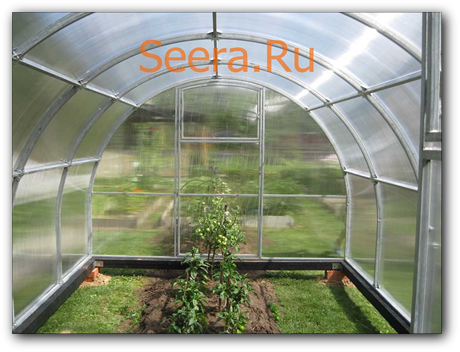 ТЕПЛИЦА "ОРЕХ"